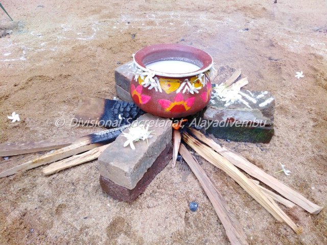 Pongal festival of Alayadivembu Divisional Secretariat-2021